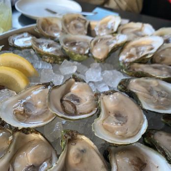 Black Lamb - Sand Dune Oysters - New American Near Me - Boston, Massachusetts