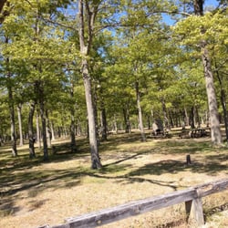 Haines Memorial State Park - Picnic tables and fire pits