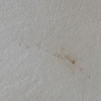 Baymont by Wyndham Mobile/ I-65 - Stains on the sheets - Hotels Near Me - Mobile, Alabama Baymont by Wyndham Mobile/ I-65 - Stains on the sheets - Hotels Near Me - Mobile, Alabama