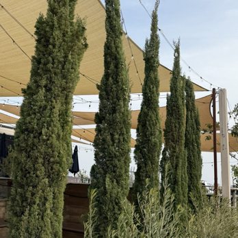 Monica’s Riverview - Breakfast & Brunch Near Me - Antioch, California