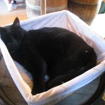 Menghini Winery - Basket kitten - Wineries Near Me - Julian, California Menghini Winery - Basket kitten - Wineries Near Me - Julian, California