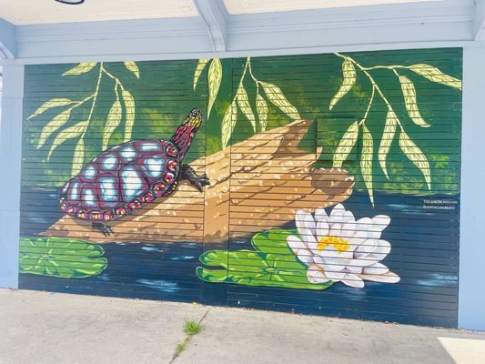 The Painted Turtle by null