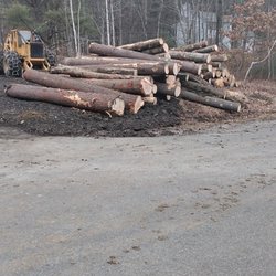 Richardson Timber Harvesting