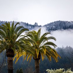 City of Calistoga - City of Calistoga 2/25/23