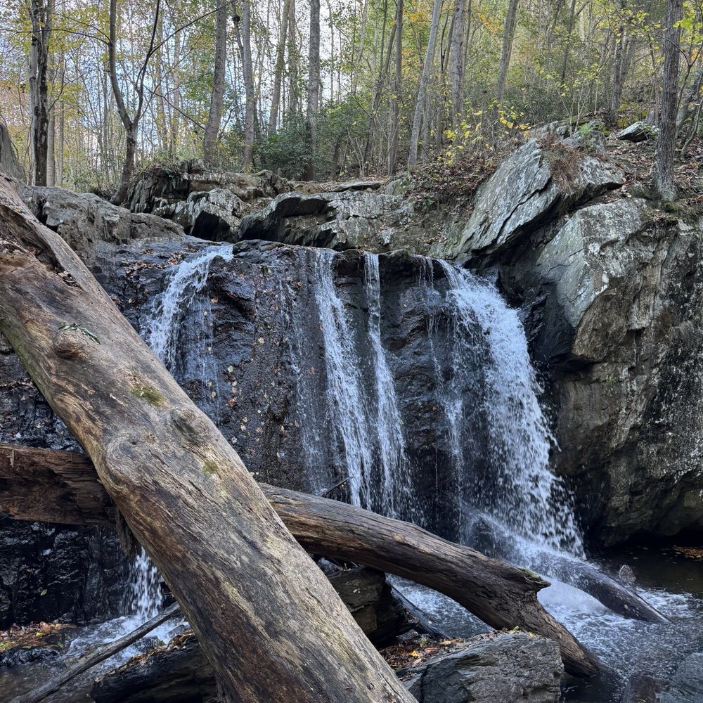 TOP 10 BEST Hiking near York Springs, PA 17372 - Updated 2026 - Yelp