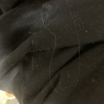 Kitchen Story - Hair in the " Morning Taco" - Breakfast & Brunch Near Me - Oakland, California