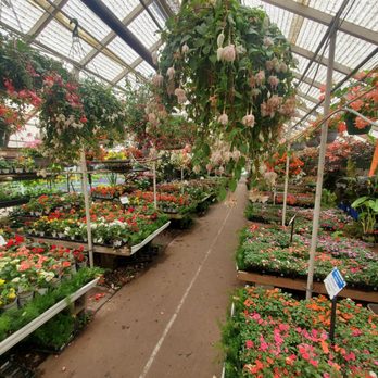City Floral - Nurseries & Gardening Near Me - Denver, Colorado City Floral - Nurseries & Gardening Near Me - Denver, Colorado