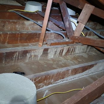 Y&S Home Builders - Can lights cover before installing new insulation - Insulation Installation Near Me - Union City, California Y&S Home Builders - Can lights cover before installing new insulation - Insulation Installation Near Me - Union City, California