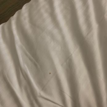 Margaritaville Resort Biloxi - Blood stain - Resorts Near Me - Biloxi, Mississippi Margaritaville Resort Biloxi - Blood stain - Resorts Near Me - Biloxi, Mississippi
