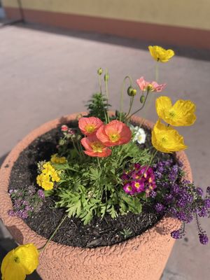 Photo of Santa Fe Taqueria - San Jose, CA, US.