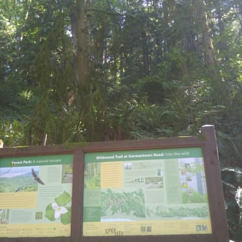 Forest Park - Parks Near Me - Portland, Oregon