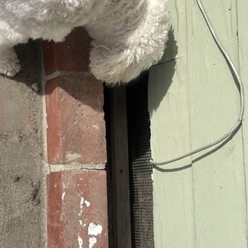 Handy Eddy - Crawl Space Repair #2...pup is showing off the repair - Handyman Near Me