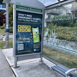 Bus Stop Shelter Poster Displays - Informative poster display - bus stop & shelter on Cameron Street - photo taken during early-morning walk in the neighbourhood (31 July/25)