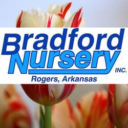 Bradford Yard Living + Landscaping