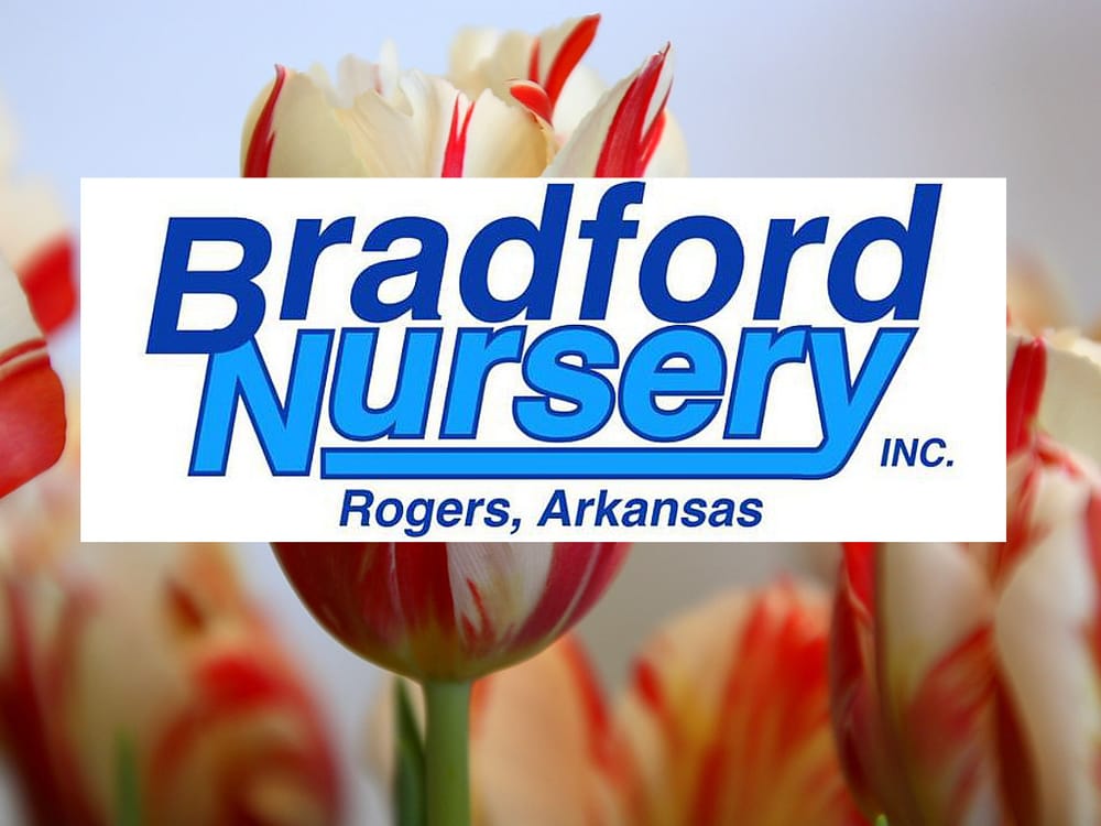 BRADFORD YARD LIVING + LANDSCAPING Updated May 2024 27 Photos & 13