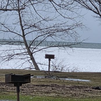 Evangola State Park - Evengola stat park picnic area - Beaches Near Me - Irving, New York