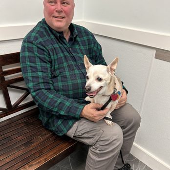 Wignall Animal Hospital, A Thrive Pet Healthcare Partner - Stewie - Veterinarians Near Me - Dracut, Massachusetts Wignall Animal Hospital, A Thrive Pet Healthcare Partner - Stewie - Veterinarians Near Me - Dracut, Massachusetts