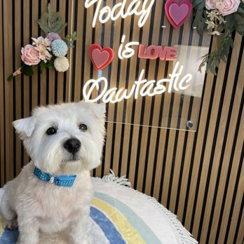 Pawtastic - Pet Groomers Near Me - Tustin, California Pawtastic - Pet Groomers Near Me - Tustin, California