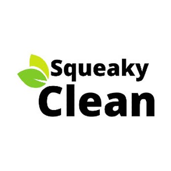 Squeaky Clean - Logo - Home Cleaning Near Me - Griffin, Georgia