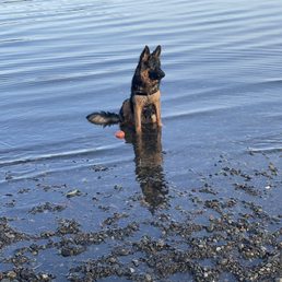 Tala cooling down even though it was a cool day! Tala cooling down even though it was a cool day!