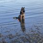Photo of Warren G. Magnuson Park