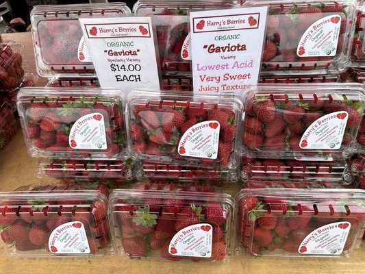 Midtown Ventura Certified Farmers' Market by null