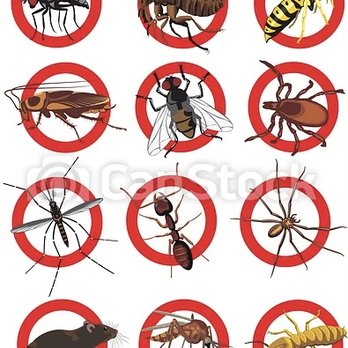 More For Less Exterminating - Pest Control Near Me