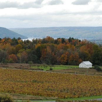 Bully Hill Vineyards - From the winery over lake Kueka - Wineries Near Me - Hammondsport, New York Bully Hill Vineyards - From the winery over lake Kueka - Wineries Near Me - Hammondsport, New York