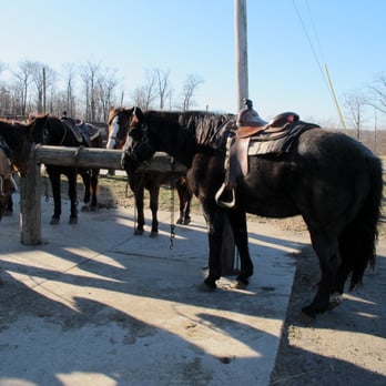 Echo Lake Stables - Horseback Riding Near Me - Newfoundland, New Jersey