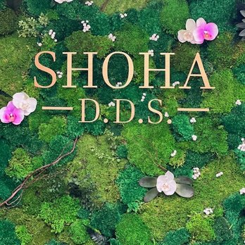 Sue Shoha, DDS - Bio Dentistry - Cosmetic Dentists Near Me - Bloomfield Hills, Michigan Sue Shoha, DDS - Bio Dentistry - Cosmetic Dentists Near Me - Bloomfield Hills, Michigan