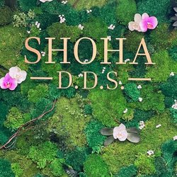 Sue Shoha, DDS - Bio Dentistry