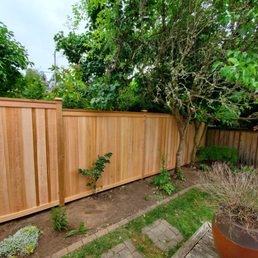 This is the right part of the fence. This is the right part of the fence.