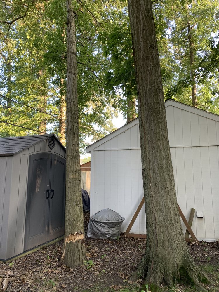 JRN Tree Services - tree service in Euclid, OH