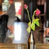 The Poisoned Apple gift card