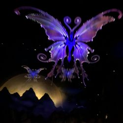 Symbolica - Butterfly time