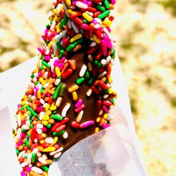 Sonoma County Fair