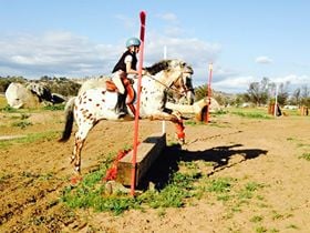 Clare's Riding Club Logo