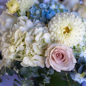 San Francisco Florist - Florists Near Me - San Francisco, California San Francisco Florist - Florists Near Me - San Francisco, California