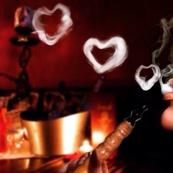 EL PASHA Updated June 2024 17 Photos Via Mario Fantelli, Parma