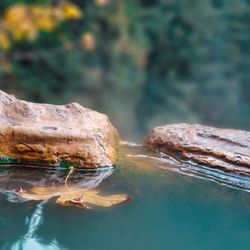 Umpqua Hot Springs