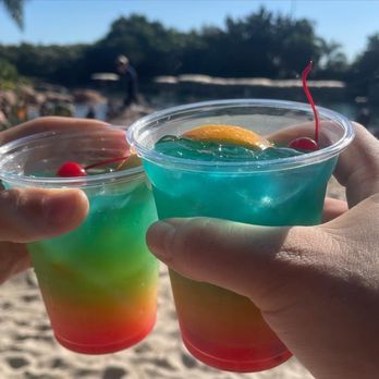 Discovery Cove - Best cocktails! - Amusement Parks Near Me - Orlando, Florida
