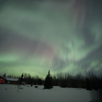 Face The Outdoors - Swirls with red - Bus Tours Near Me