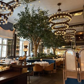 Café Carmellini - Cafes Near Me - New York, New York Café Carmellini - Cafes Near Me - New York, New York