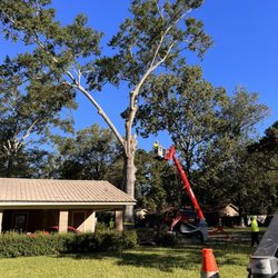 Big John's Tree Service