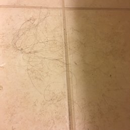 Hair every where !!