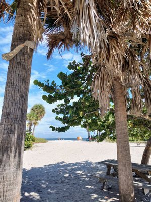 Dr. Von D. Mizell-Eula Johnson State Park by null