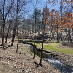 Center Springs Park - View from the walking path
