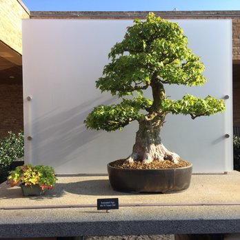 Chicago Botanic Garden - Botanical Gardens Near Me - Glencoe, Illinois