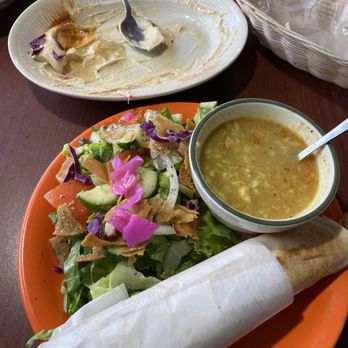 Andalus Mediterranian Grill - Lunch special - chicken shawarma sandwich! Hubby got a lamb dish that was also delicious!! - Middle Eastern Near Me - Dearborn, Michigan