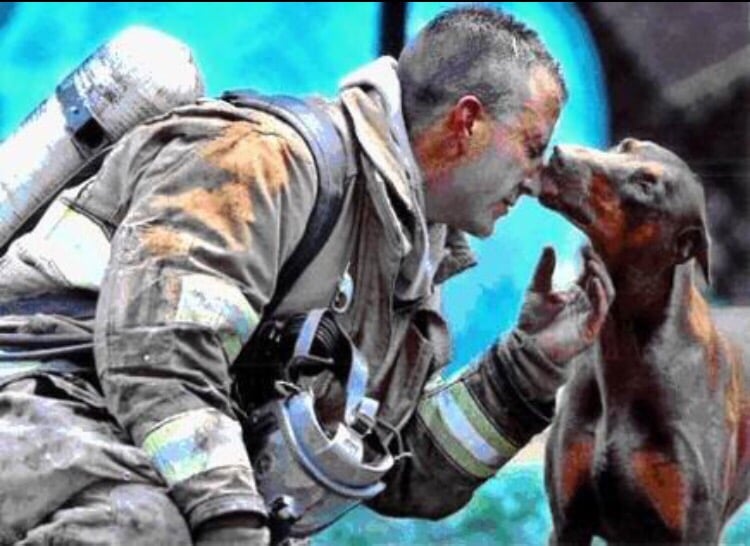 Dallas Fire Fighters Association - social services organization in Dallas, TX